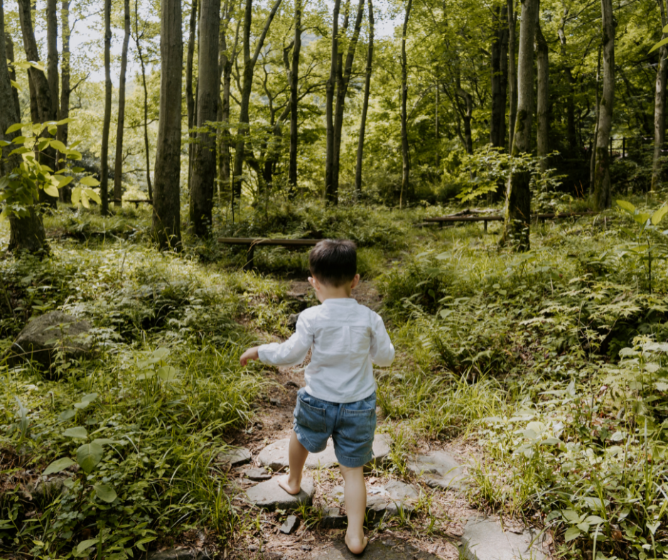 Criança caminhando em uma floresta verdejante.